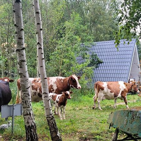Vigio Brasta Camping エレクトレナイ エクステリア 写真