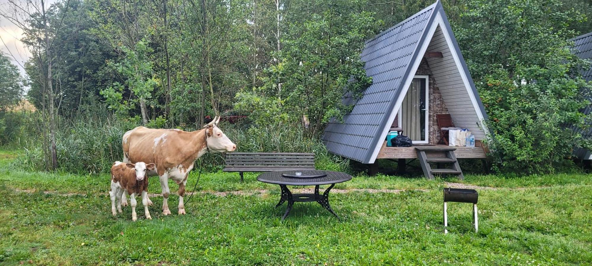 Vigio Brasta Camping エレクトレナイ エクステリア 写真